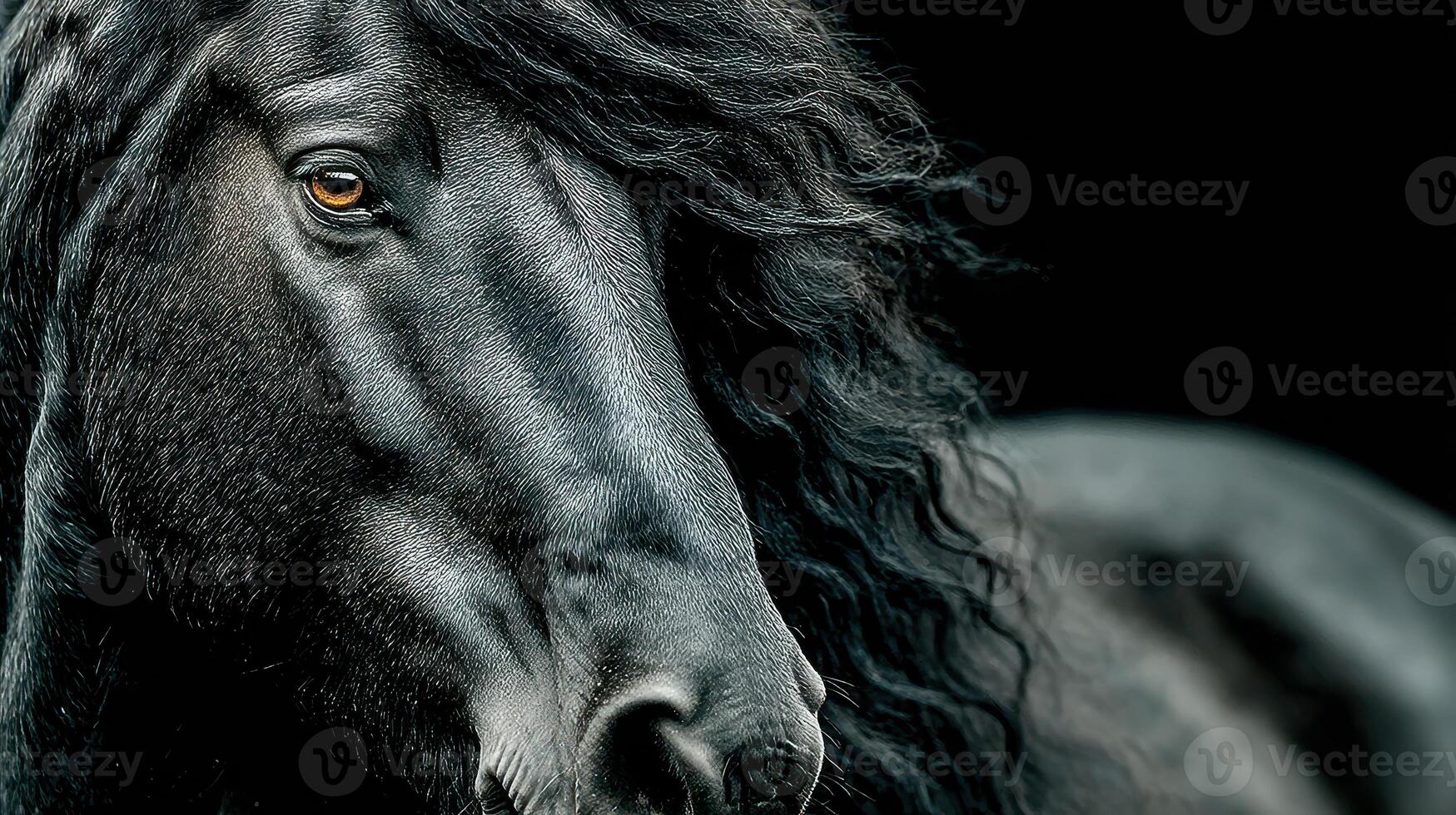 Majestic black horse with flowing mane standing against a dark background showcasing its features and beauty in natural light photo