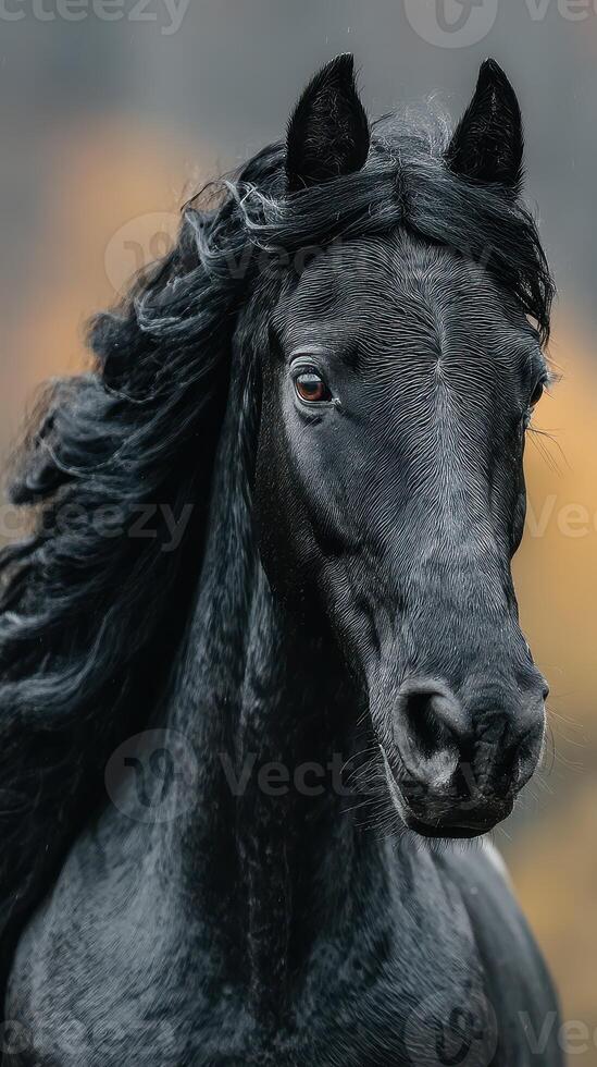 Majestic black horse with flowing mane captured in a serene autumn landscape photo