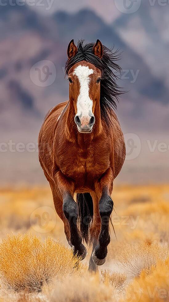 Wild horse running across golden plains in a mountainous region during bright daylight photo