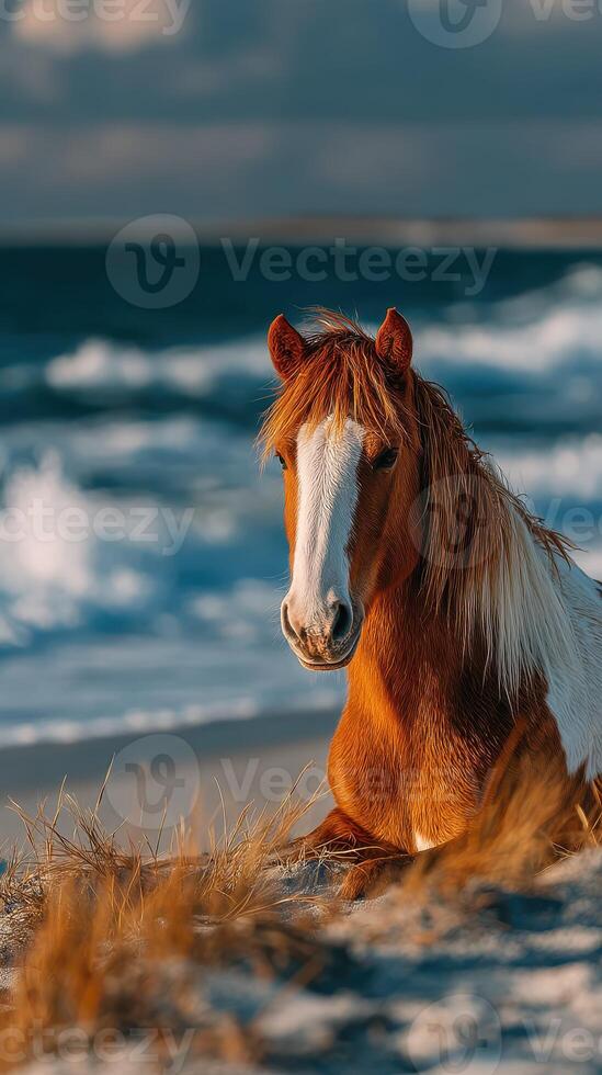 Horse resting on the beach at sunset with waves crashing in the background photo