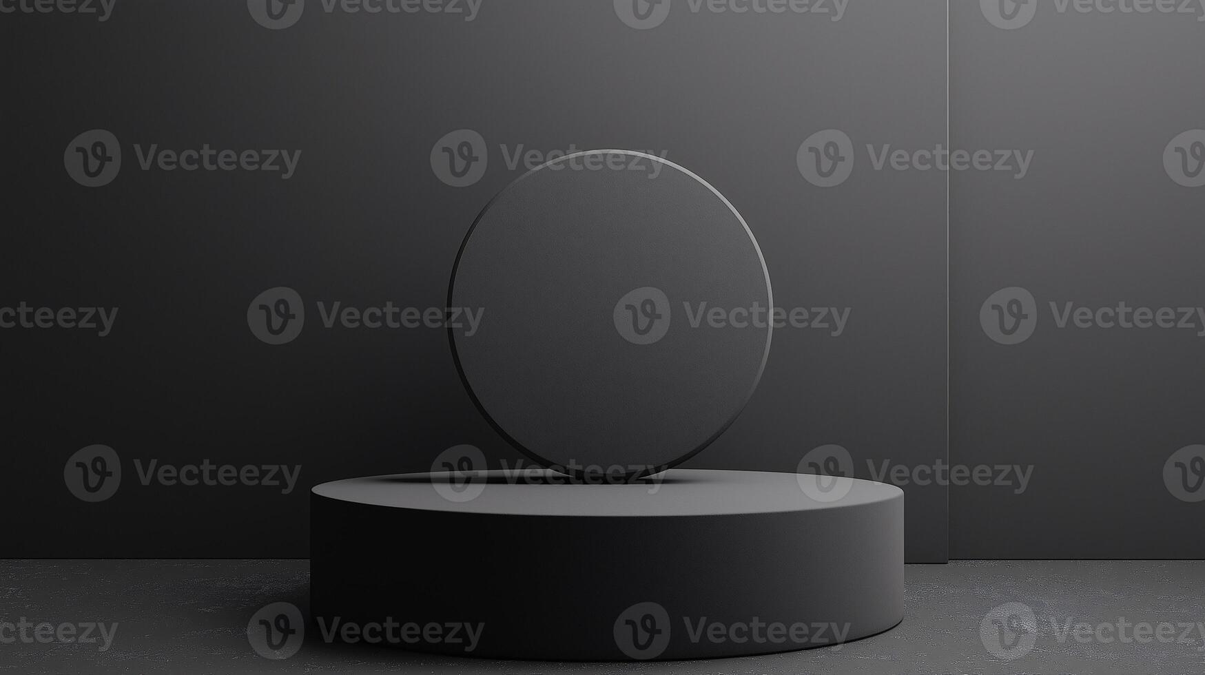 A black and white photo of two round objects, one of which is a black circle