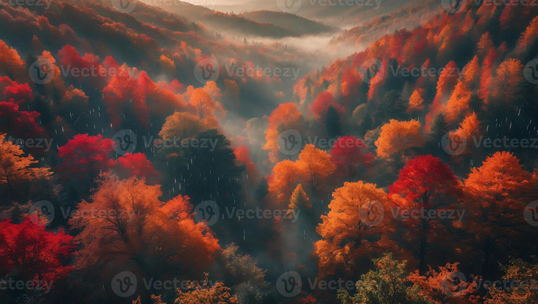 Vibrant Autumn Forest Valley with Fog and Colorful Tree Foliage photo
