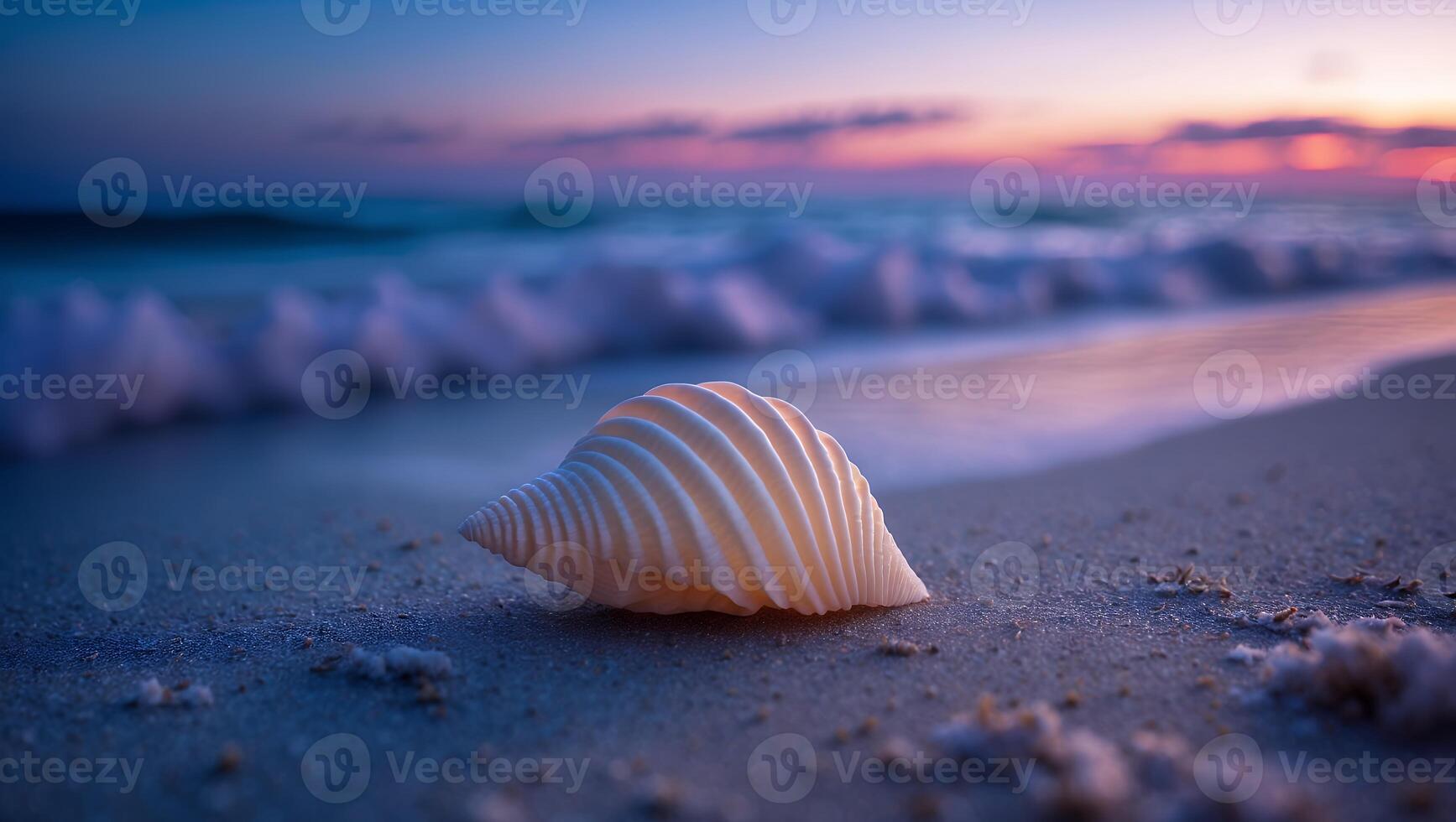 Seashell Lying on Sandy Beach at Sunset with Ocean Waves photo