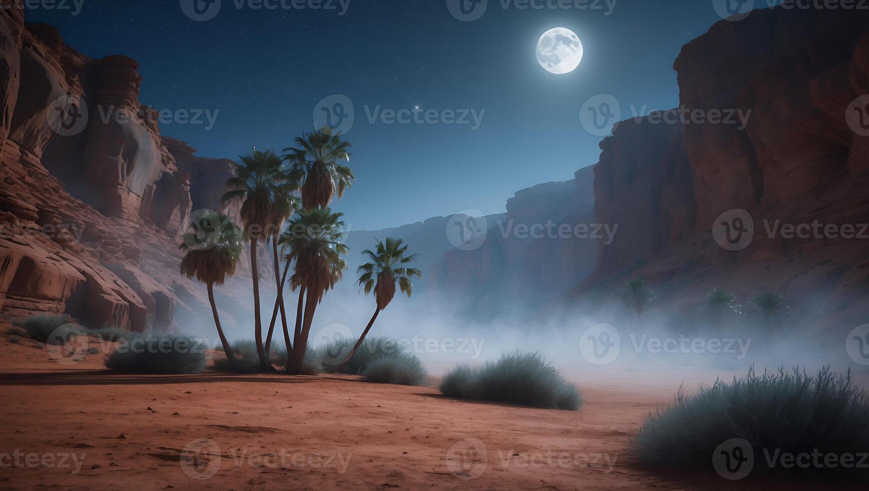 Palm Trees in Desert Canyon at Night with Full Moon photo