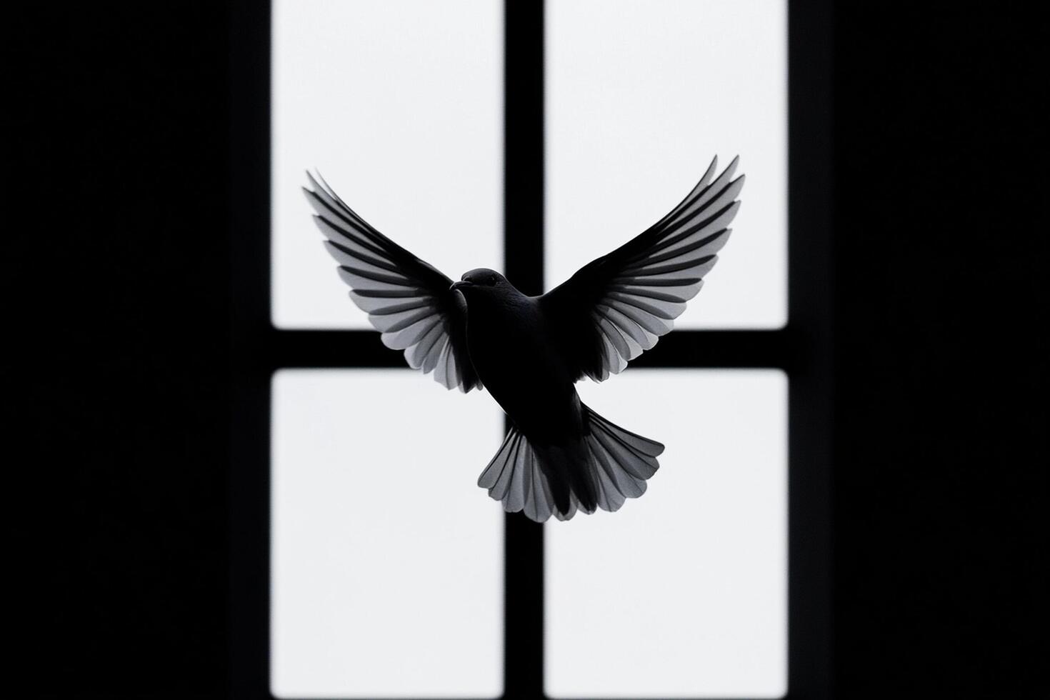 A black and white bird flying through the air photo