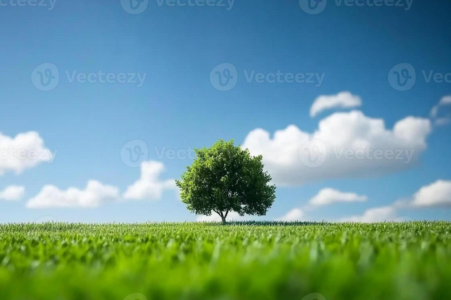 A lone tree in a green field with blue sky photo