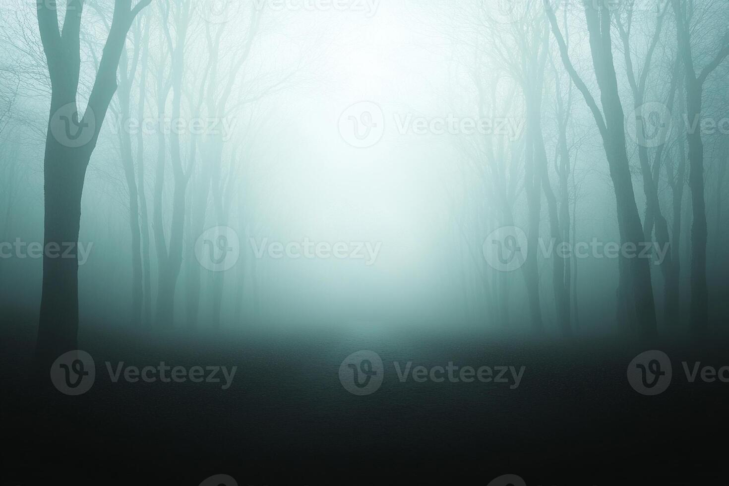 A dark and foggy forest with trees and a path photo