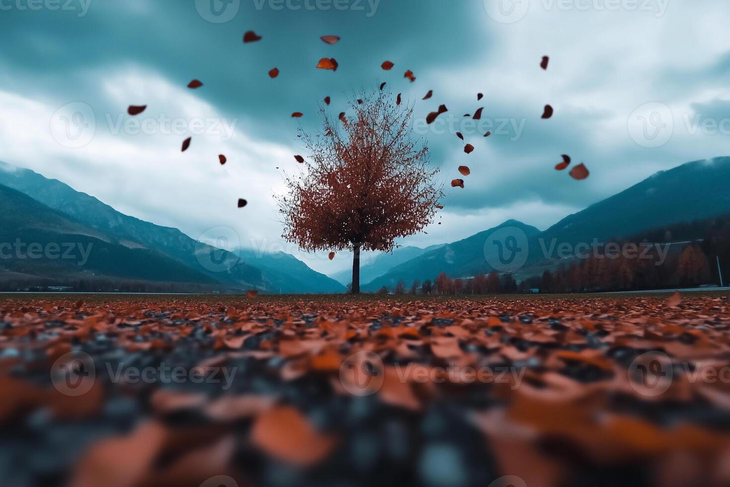 A lone tree in the middle of a field with leaves falling photo