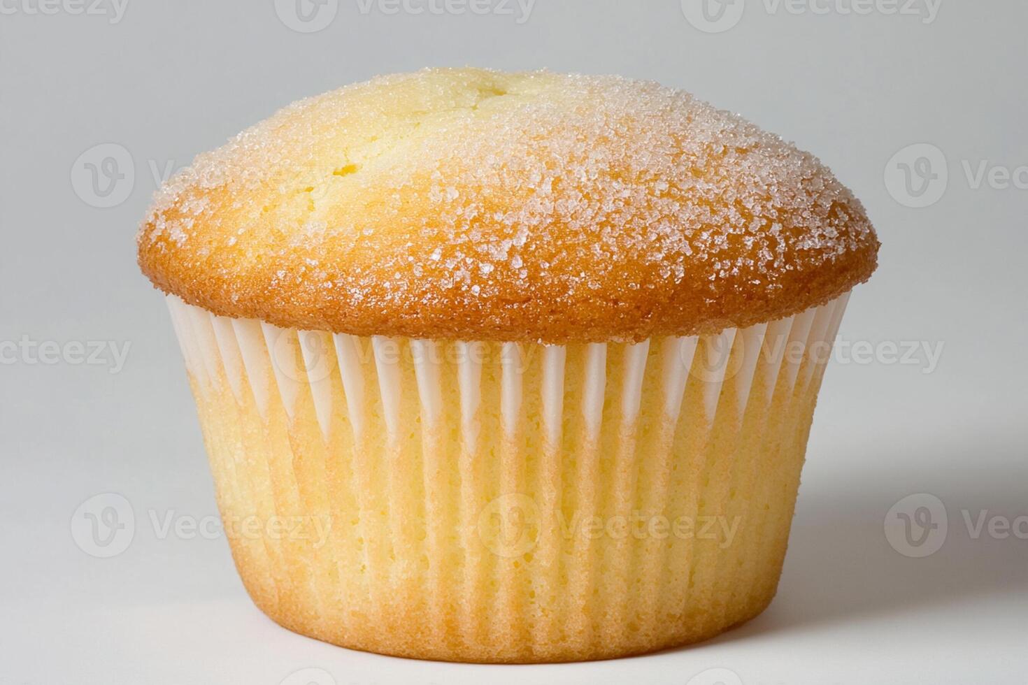 A cupcake with a white frosting on top photo
