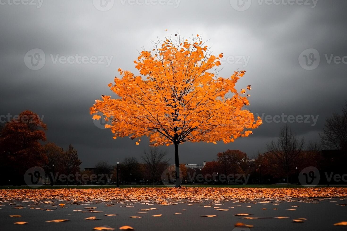 A lone tree stands in the middle of a dark sky photo
