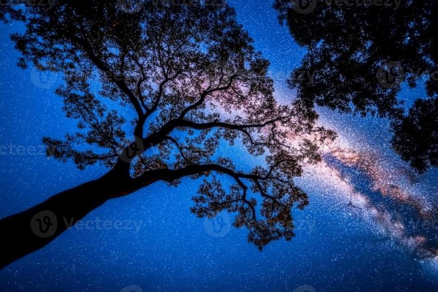The milky way over a tree in the night sky photo