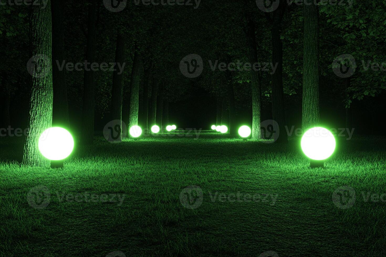 A green lighted path in the woods with trees and grass photo
