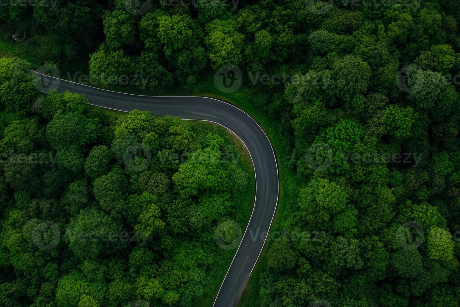 An aerial view of a winding road through a green forest photo