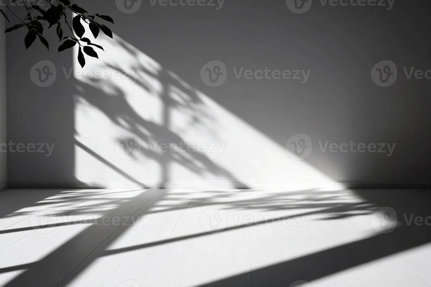 A shadow of a tree on a wall in a room photo