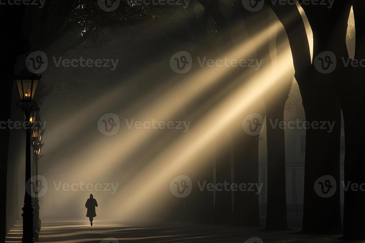 A person walking down a path in the light of the sun photo