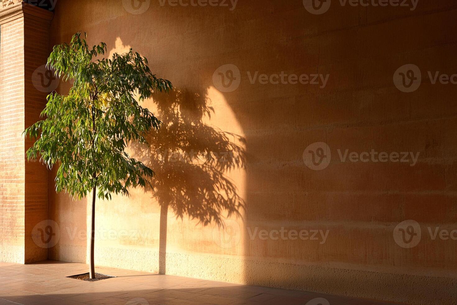A tree in a room with a wall and a floor photo