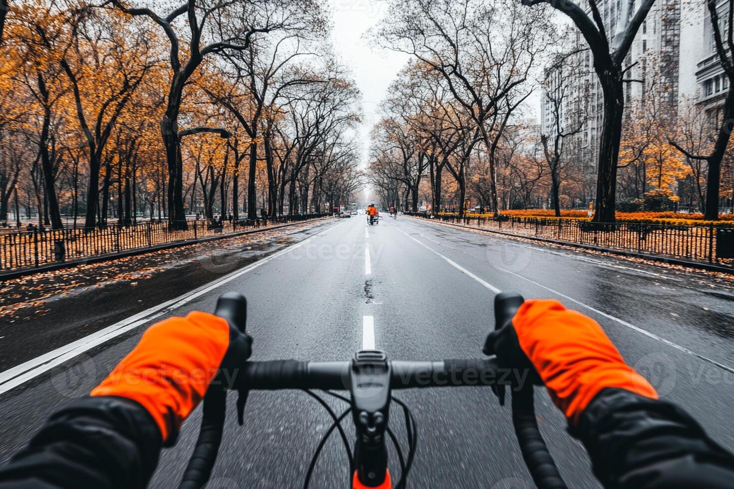 A person riding a bike on a road in the fall photo