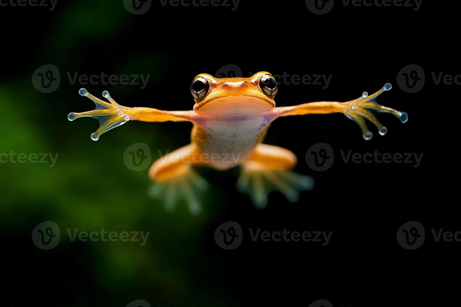A frog with its arms outstretched in the air photo