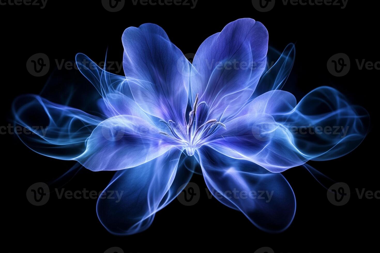 Blue flower on black background photo