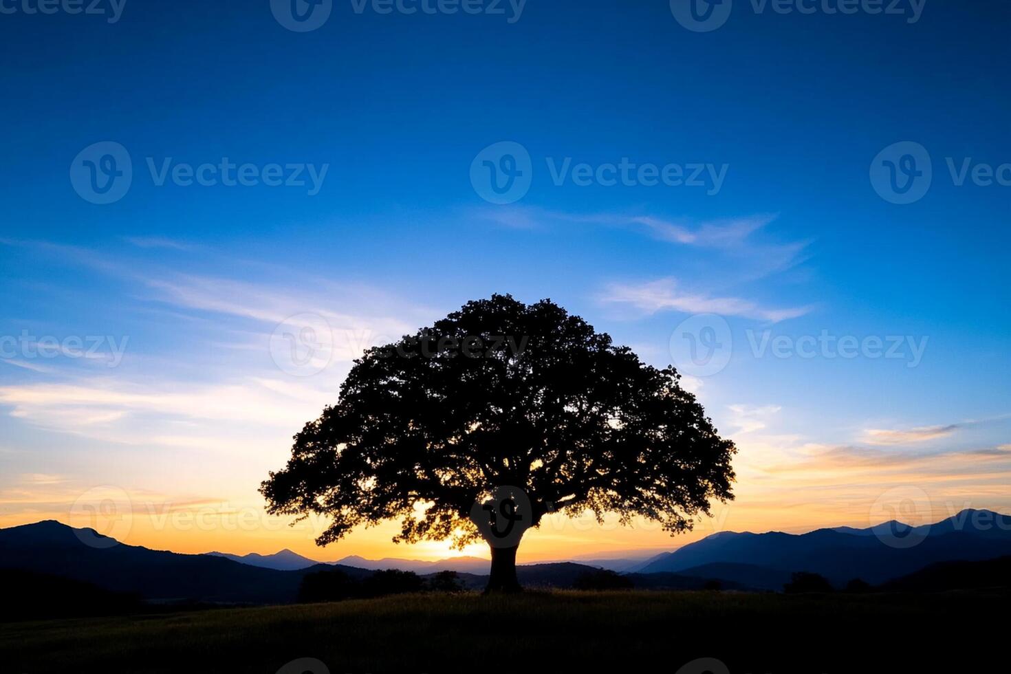 A lone tree stands in the middle of a field at sunset photo