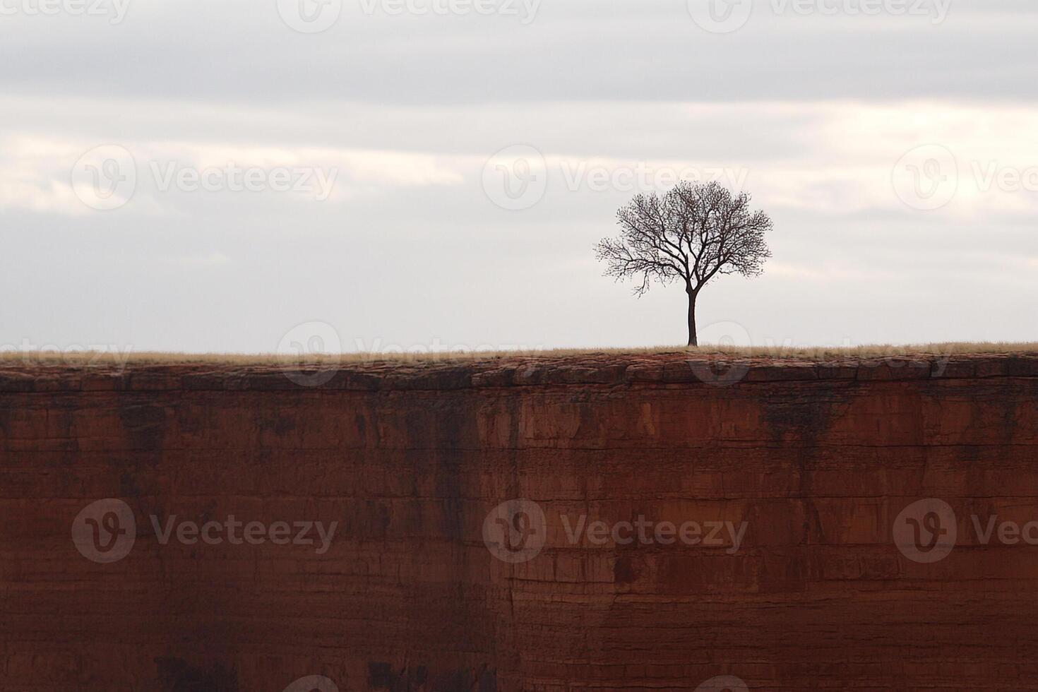 A lone tree stands on a cliff overlooking a valley photo