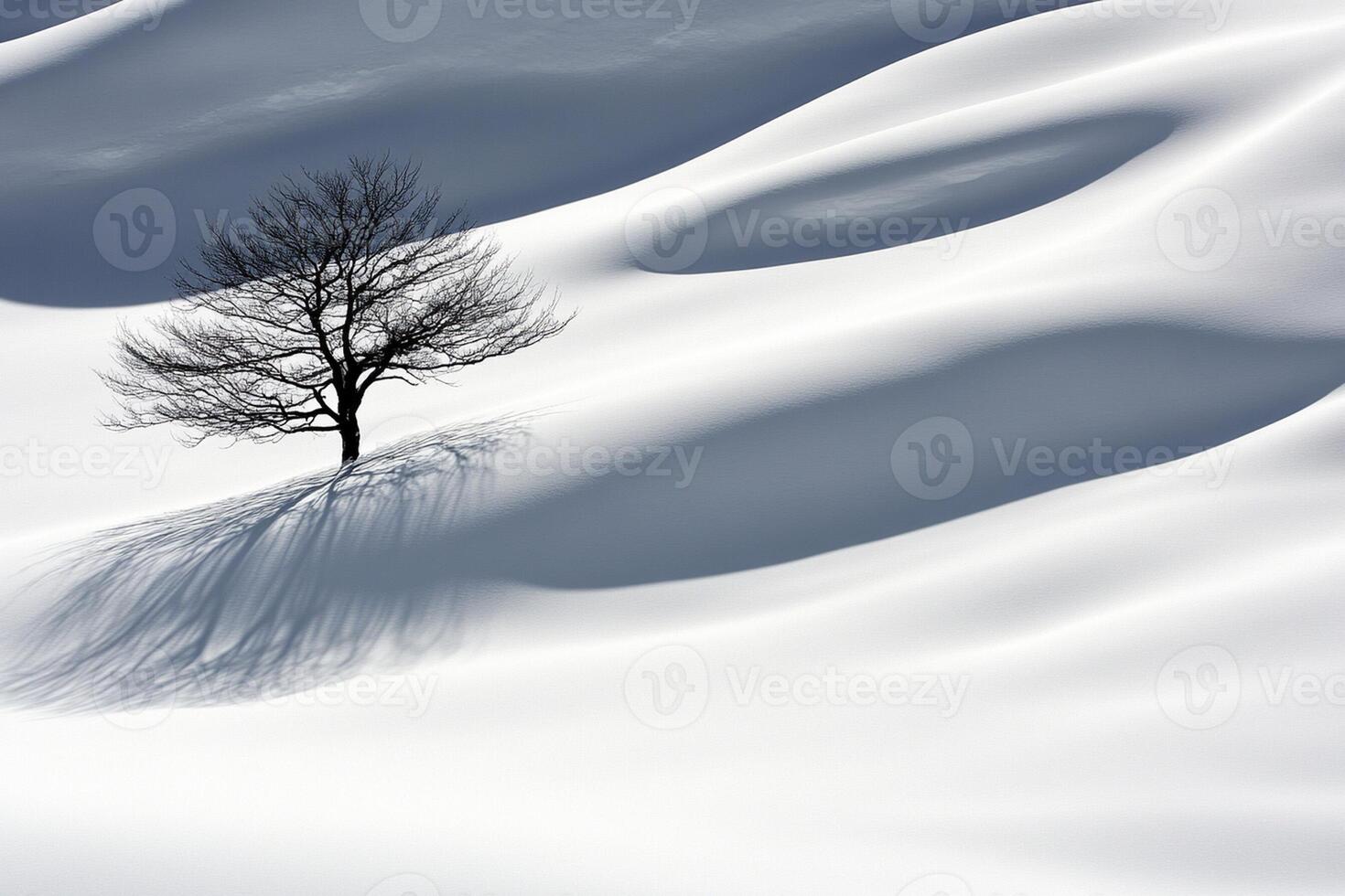 A lone tree in the snow photo