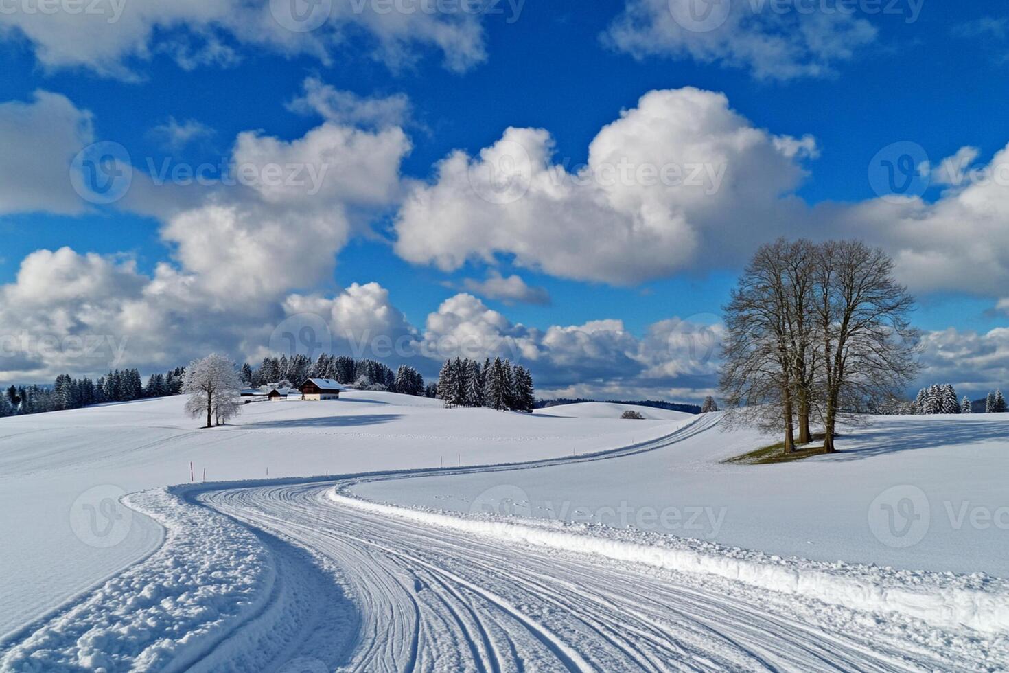 Snow covered landscape with a road and trees photo