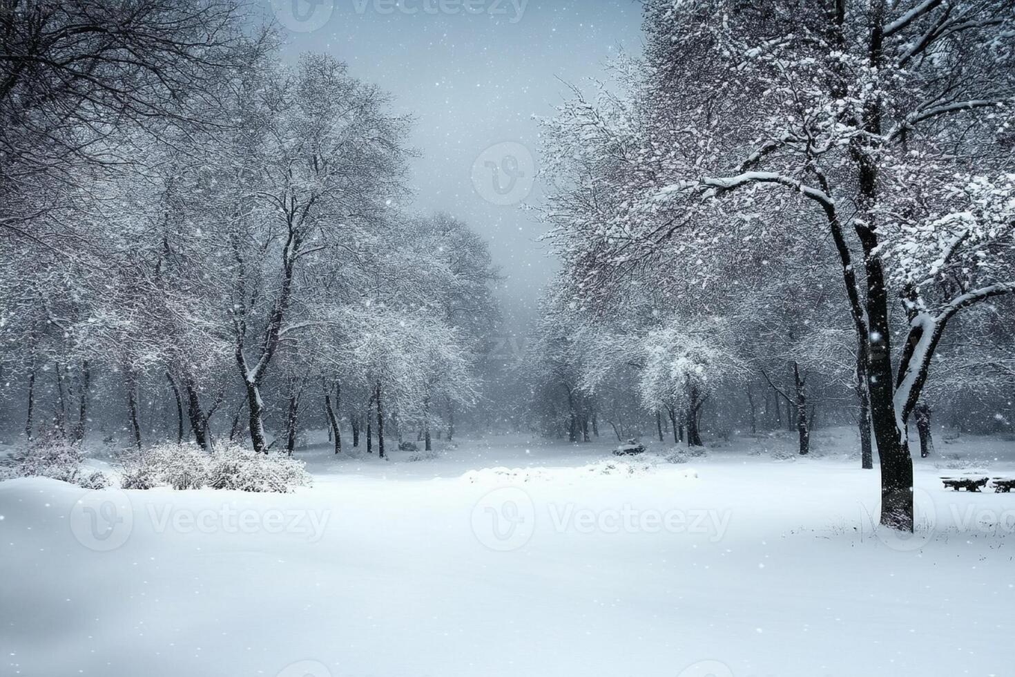 Winter landscape with snow covered trees and snow covered ground photo