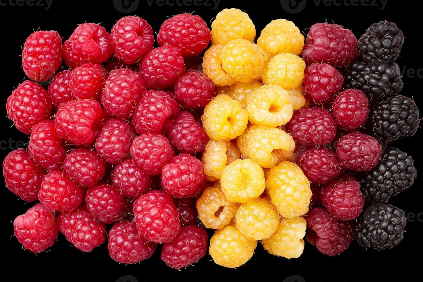 Raspberries, blackberries, and raspberries are arranged in a row photo