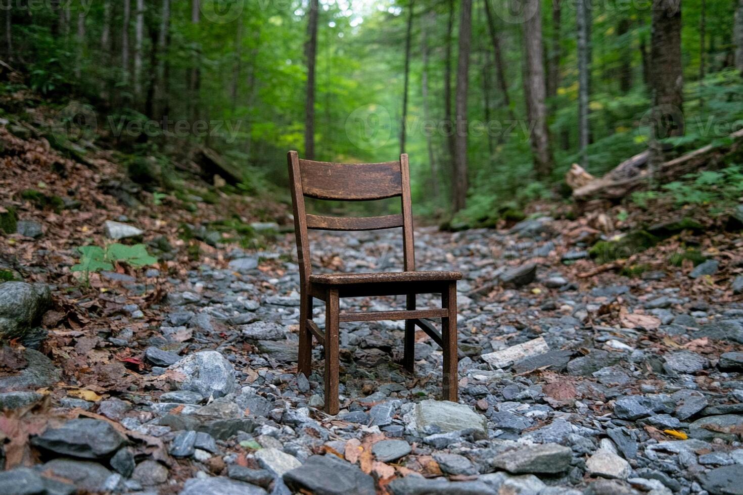 A chair sits on the side of a rocky path in the woods photo