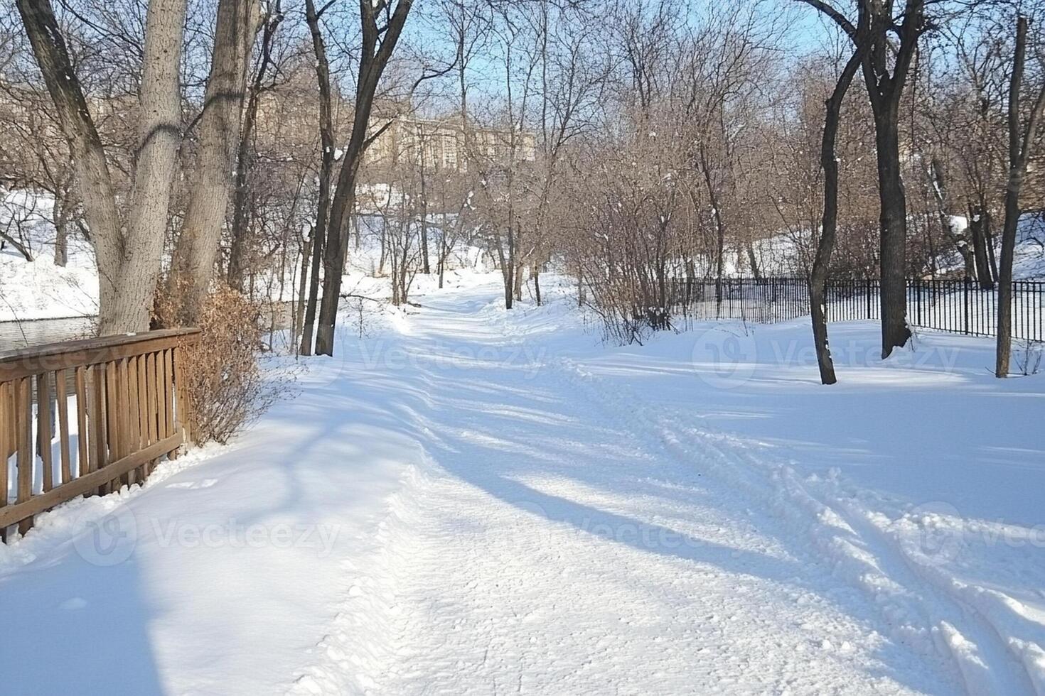 A snowy path leads to a bridge and trees photo
