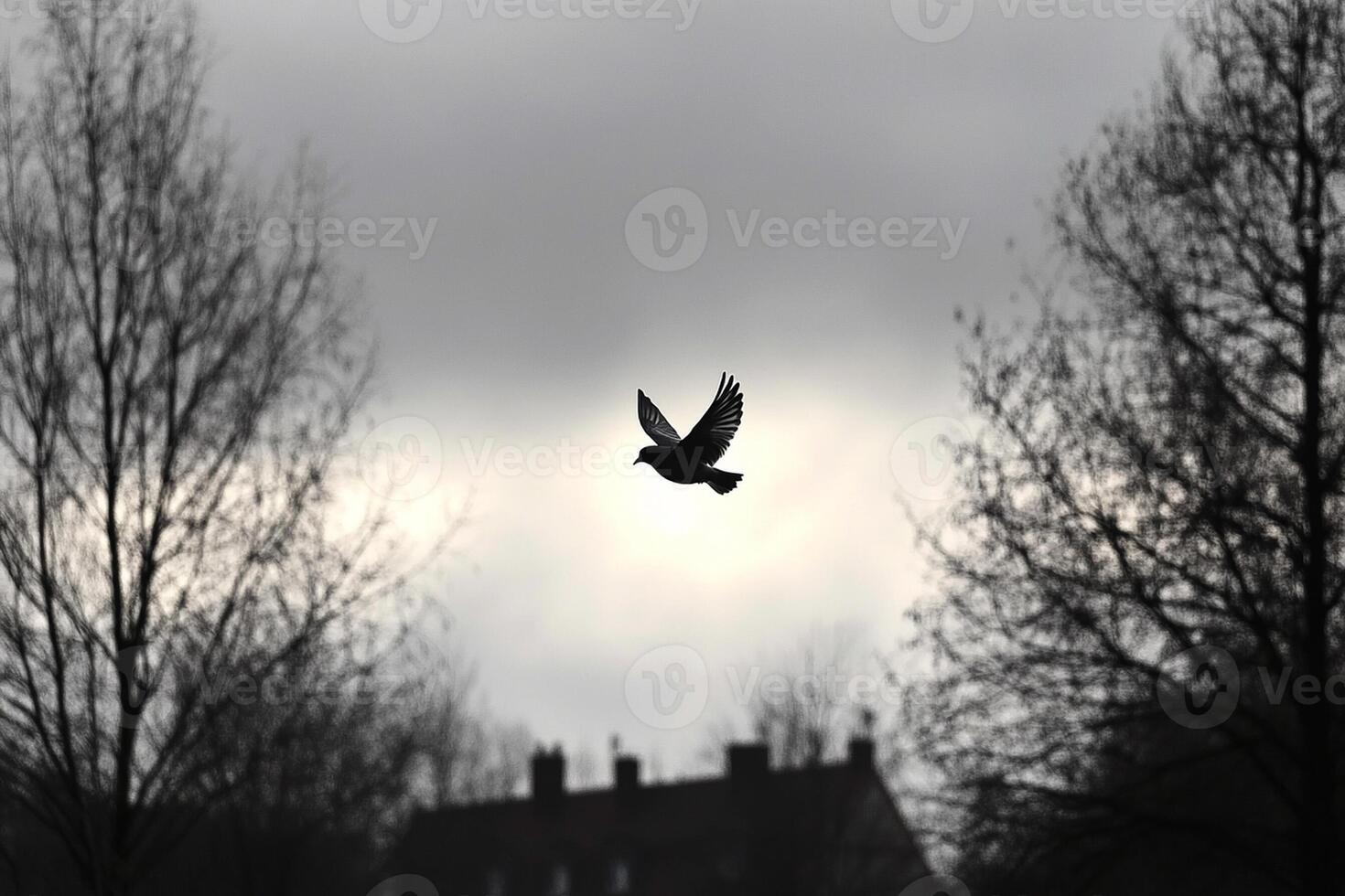 A bird flying in the sky photo