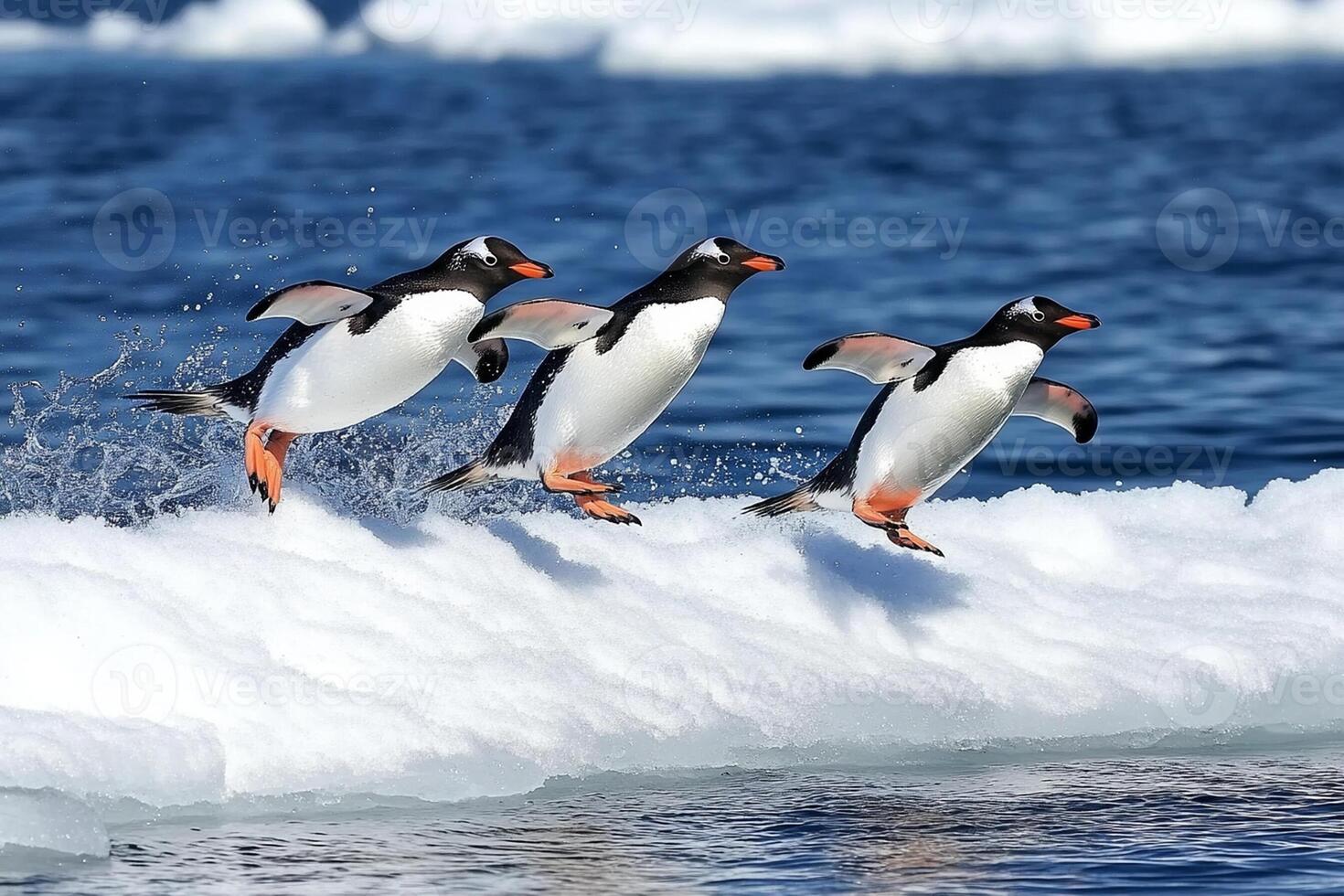 Three penguins jumping on an ice floe photo