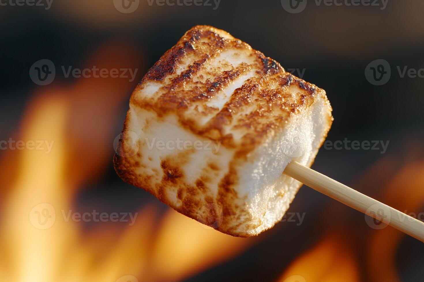 A marshmallow on a stick with a fire in the background photo