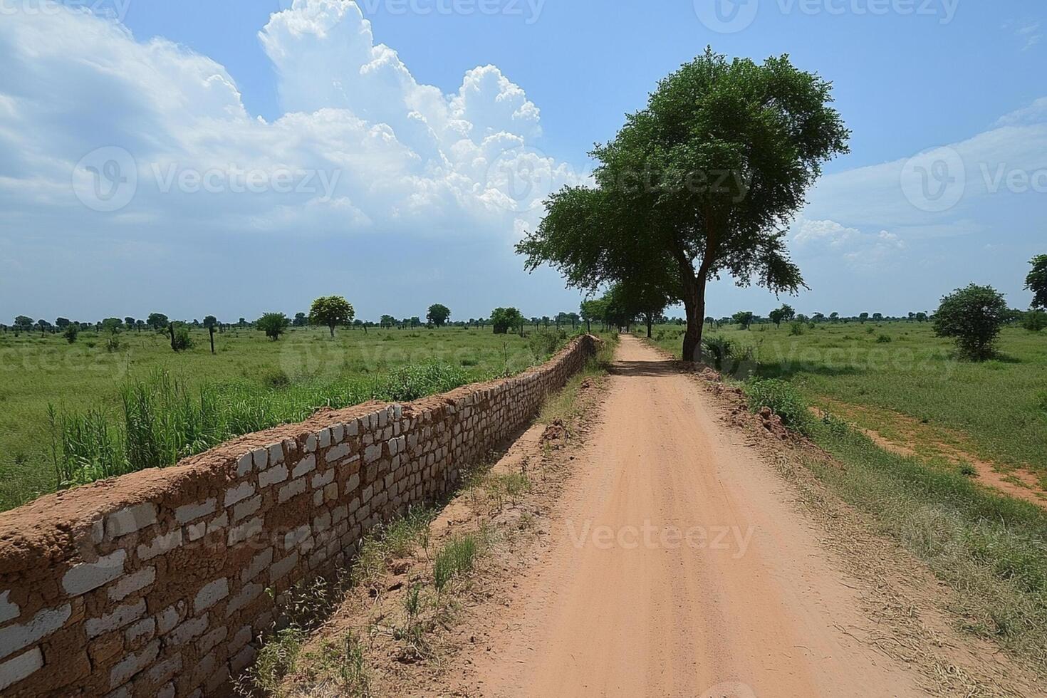 A dirt road with a brick wall and trees photo