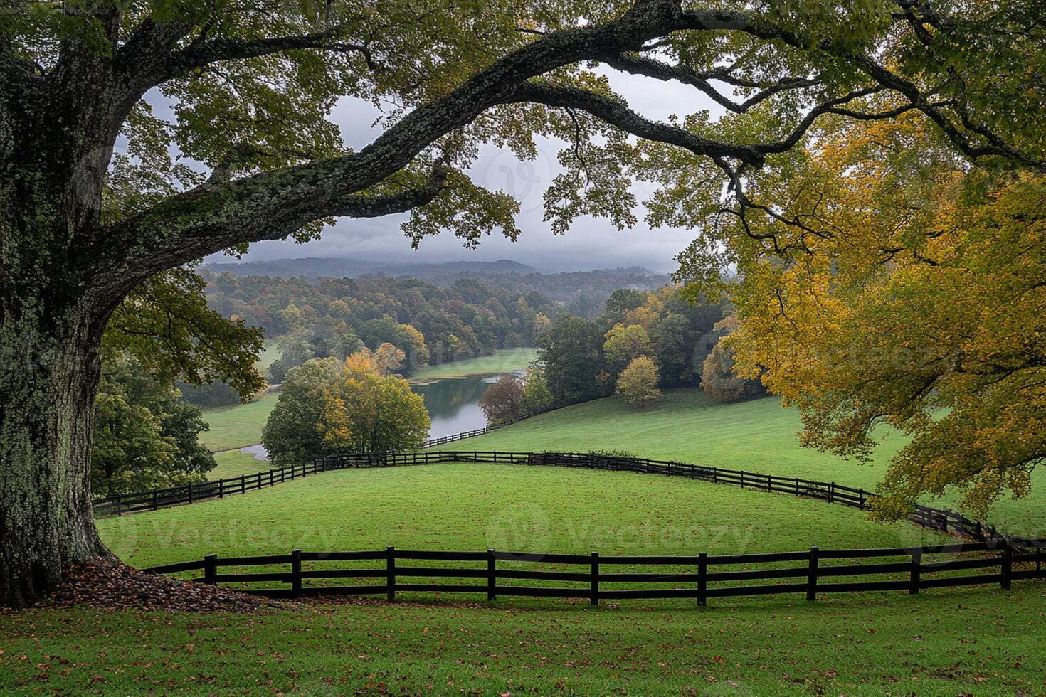 A tree with a fence in front of it photo