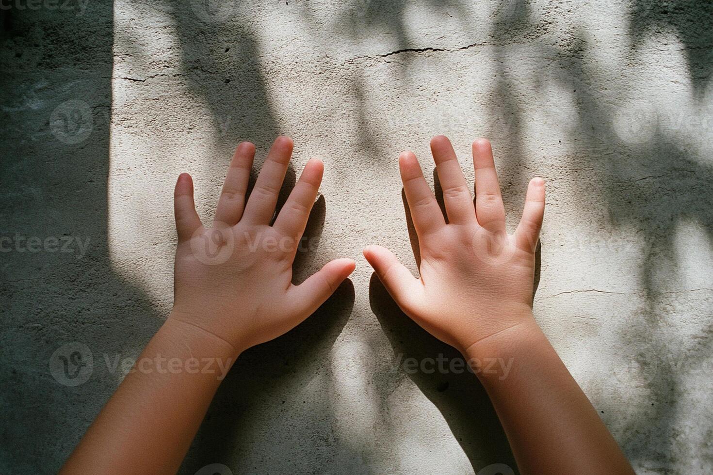 A pair of hands photo