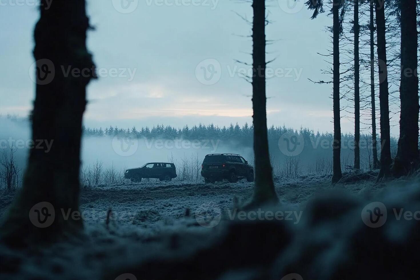 Two vehicles are parked in the woods with fog photo