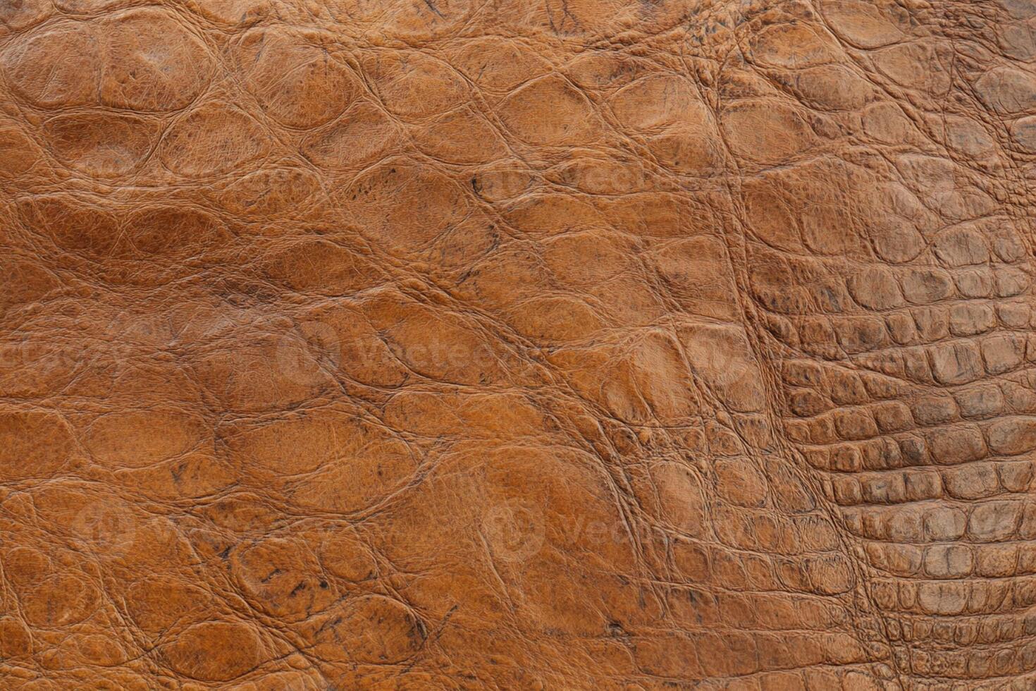 An image of a crocodile skin texture photo