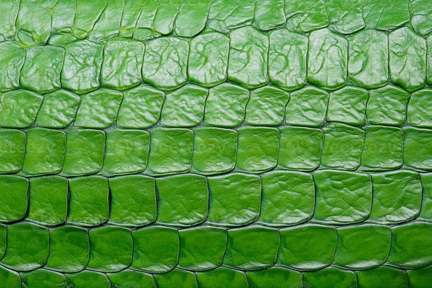 A close up of a green snake skin photo
