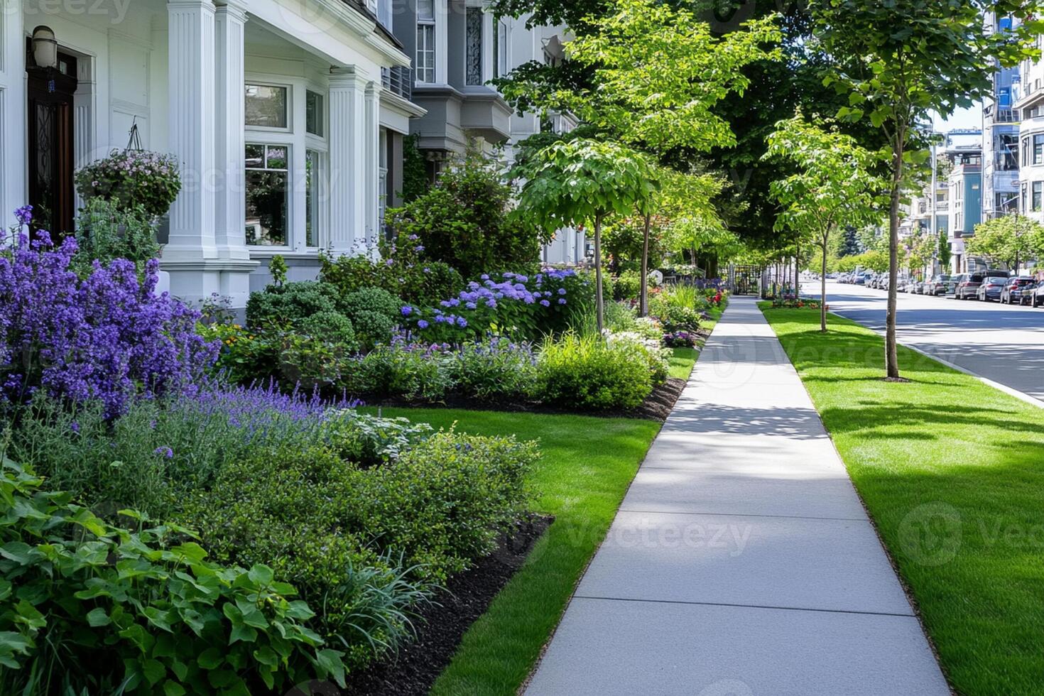 A sidewalk with a row of plants and a row of houses photo