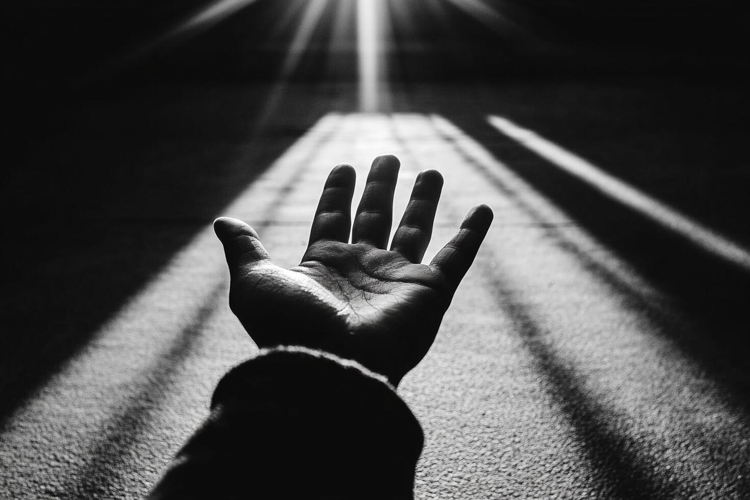A person reaching out to the sun photo