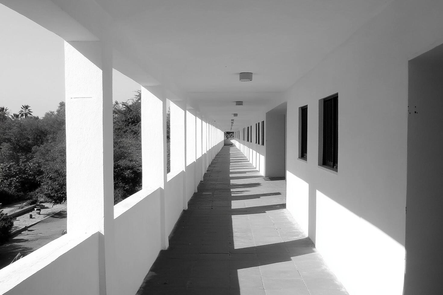 A long hallway with windows and a white wall photo