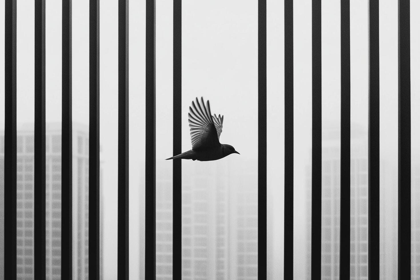A black and white photo of a bird flying through a fence