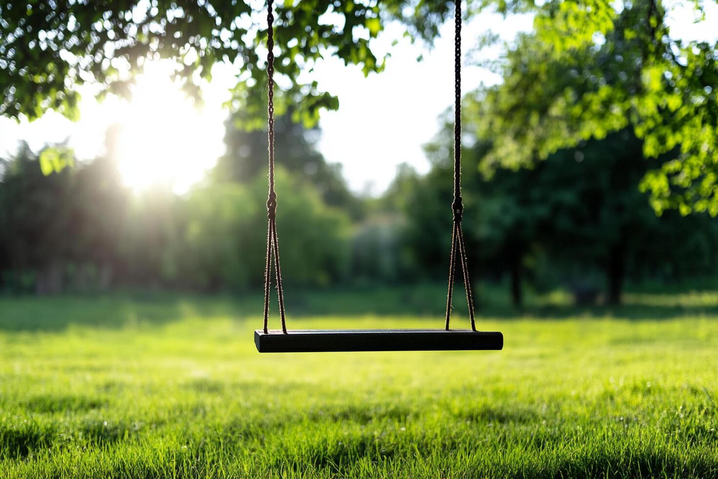 A swing is in the middle of a grassy field photo