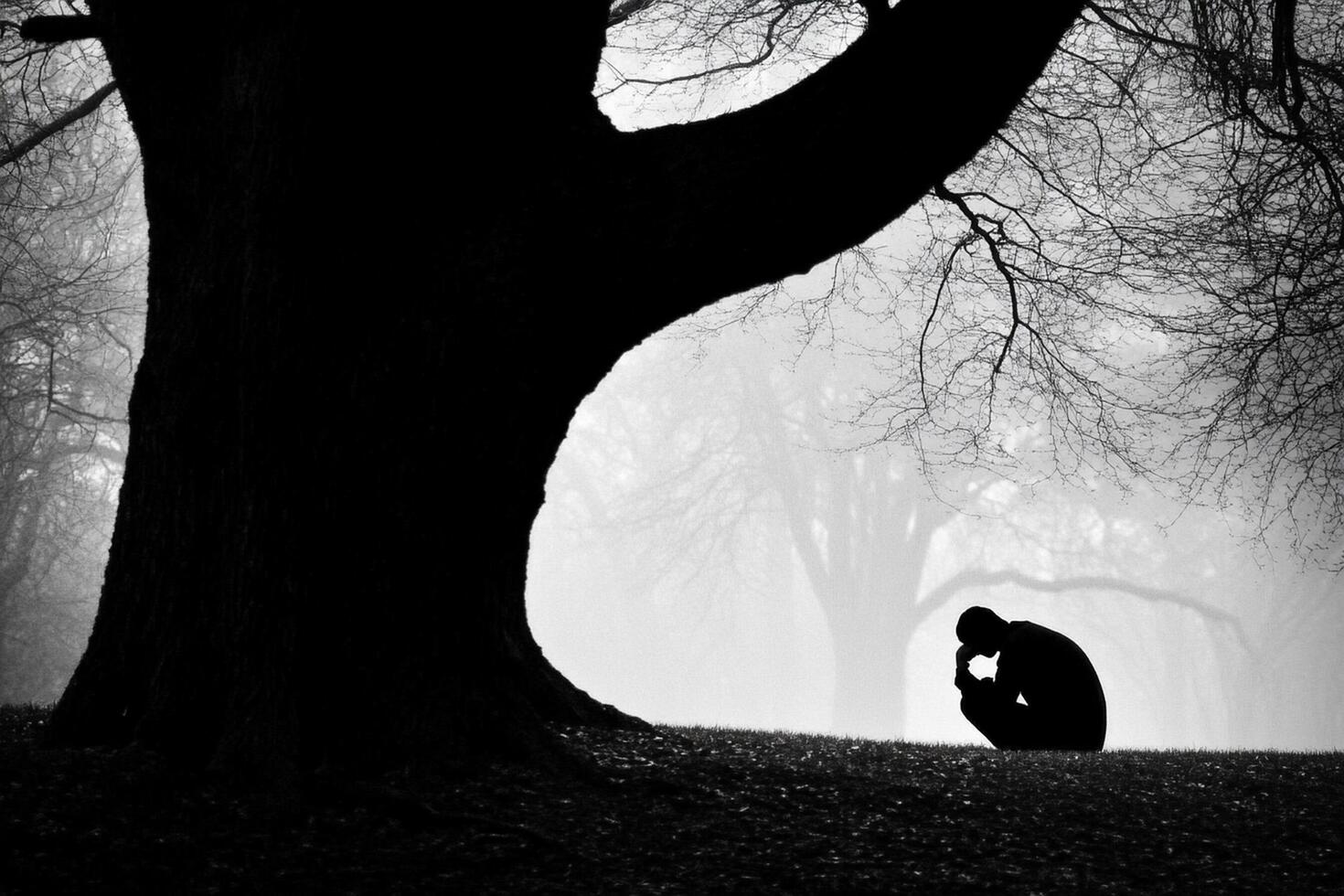 A man sitting in the middle of a forest in the fog photo