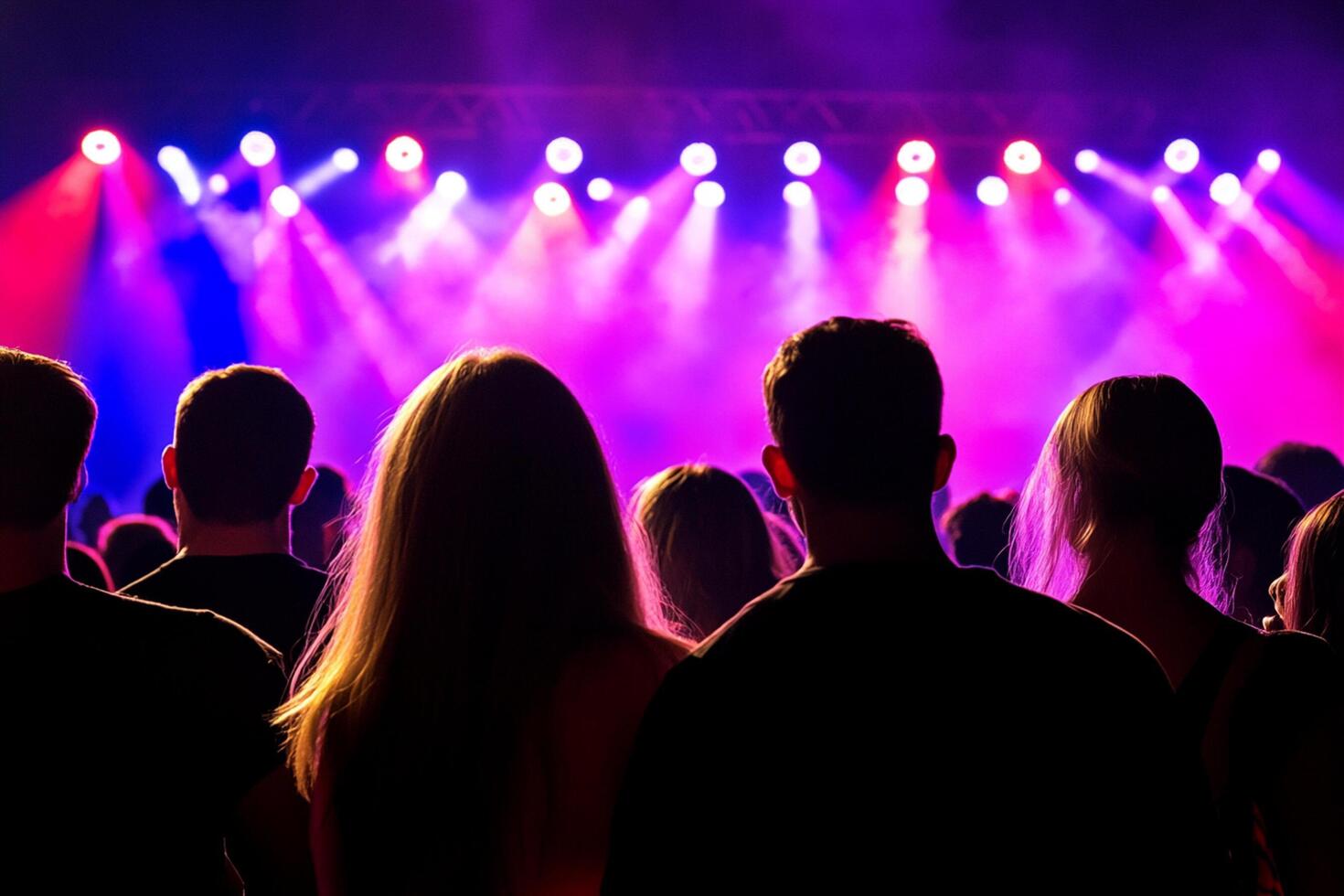 A crowd of people watching a concert photo