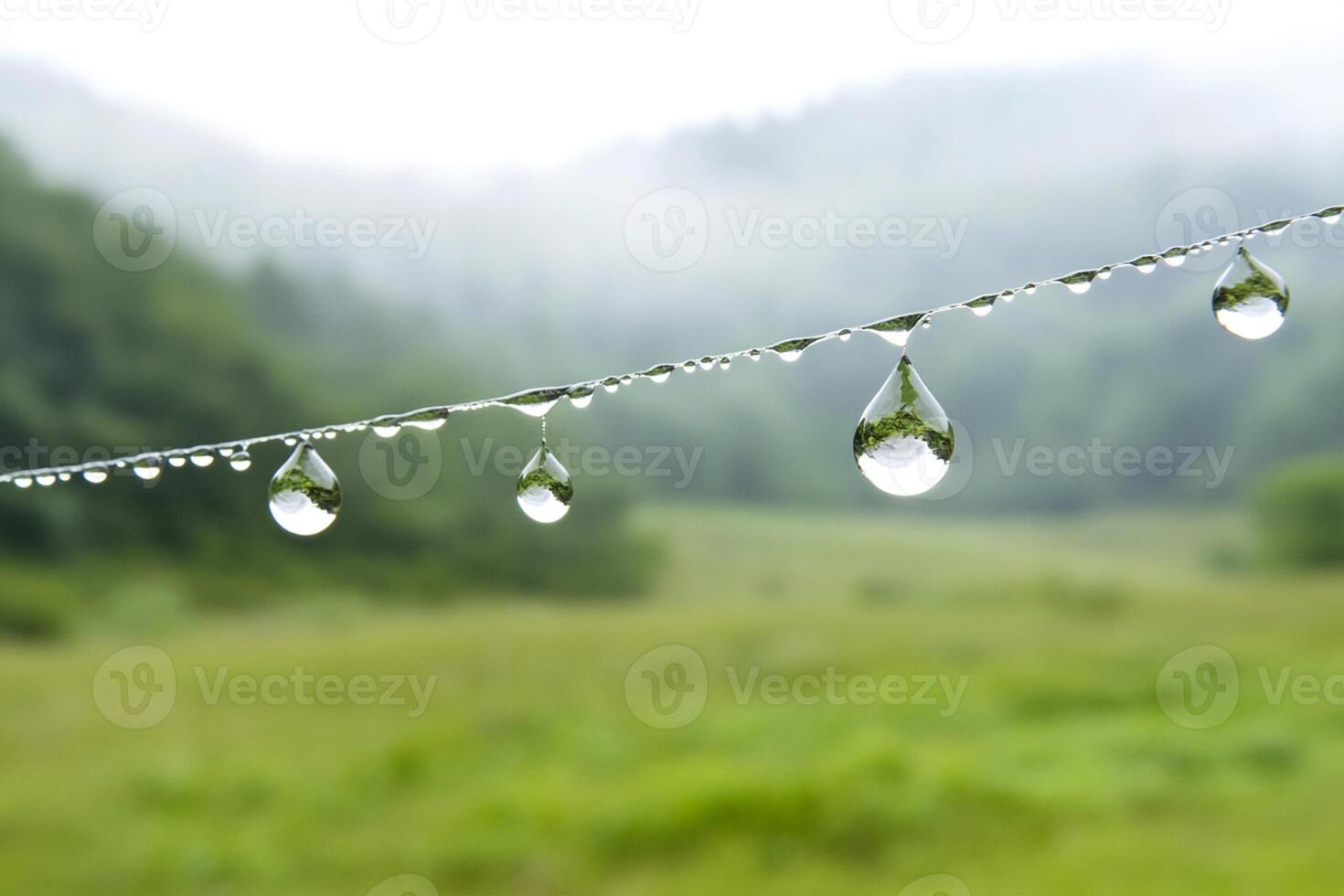 Water droplets hanging from a wire in a field photo