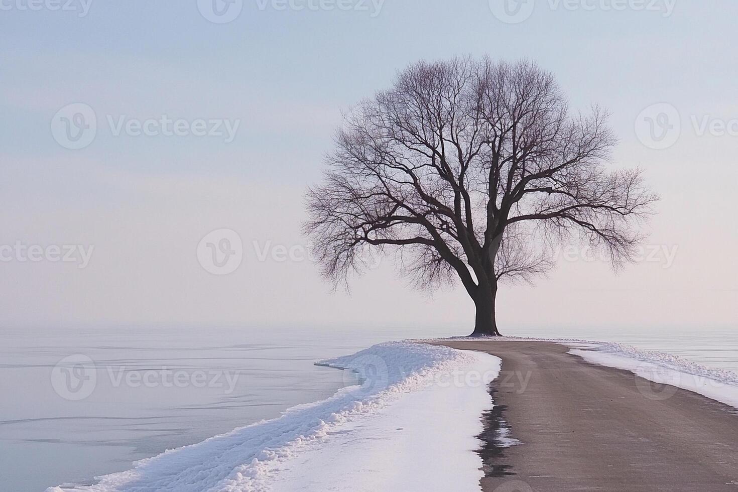 A lone tree stands on the side of a road near the water photo