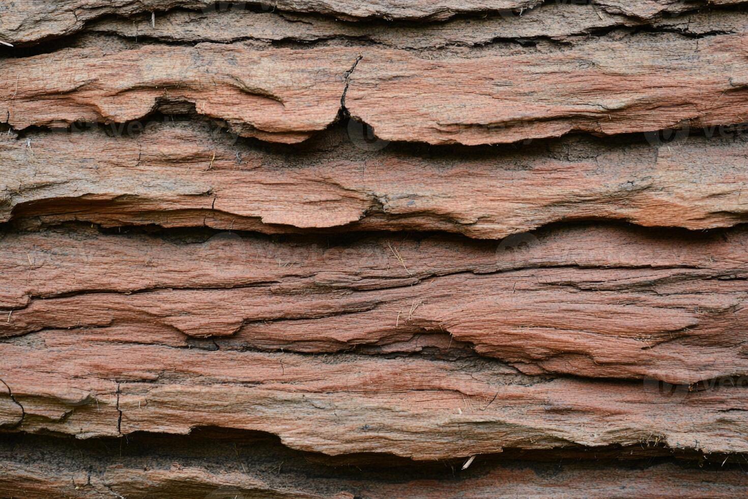 A close up of a tree trunk with a bird on it photo